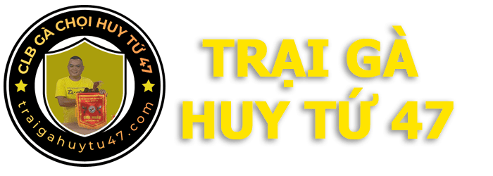 Trại Gà Huy Tứ 47 Trại Gà Huy Tứ 47