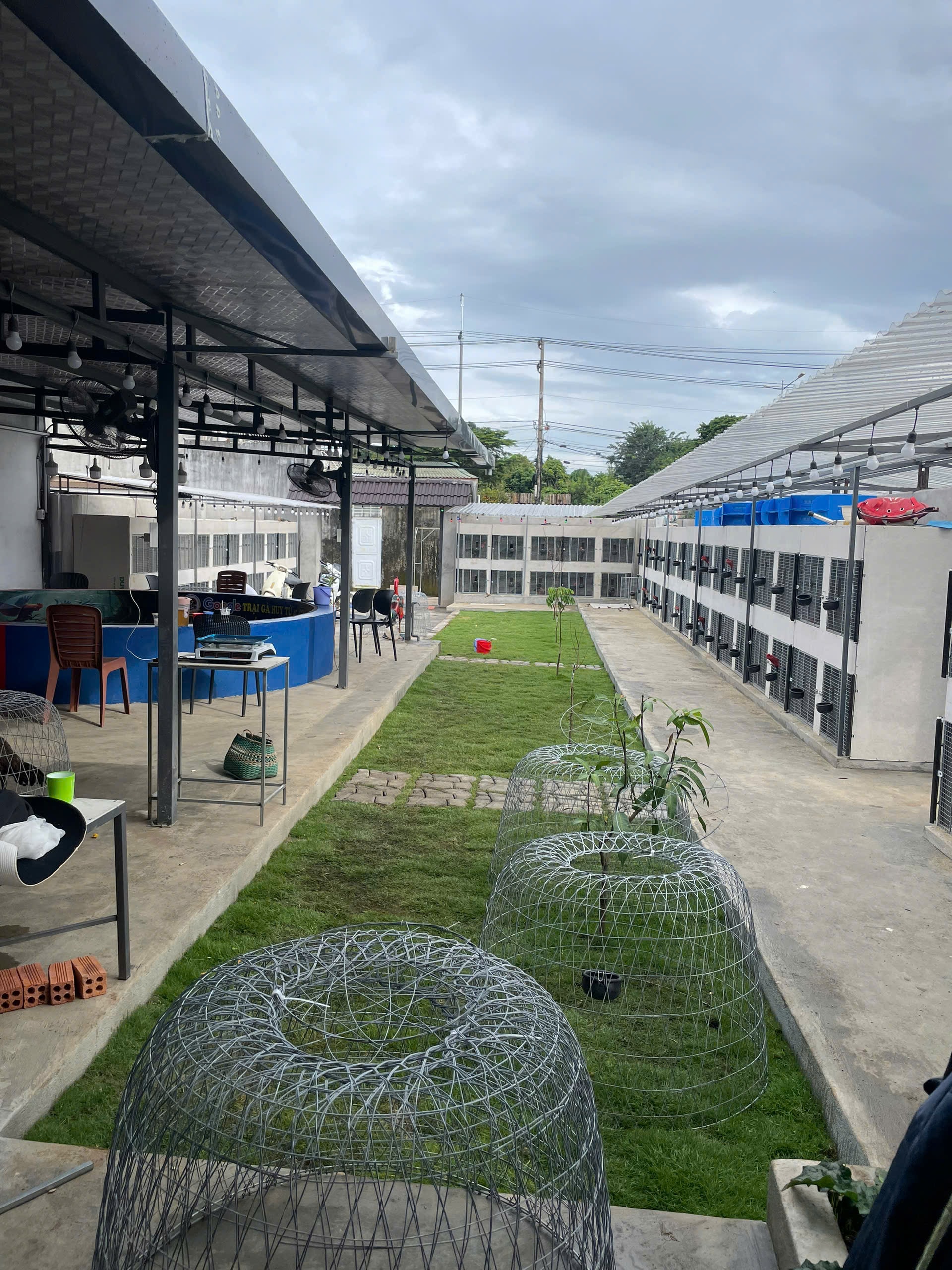 Chuồng trại và chăm sóc